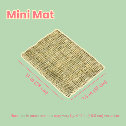 MeadowMaze Natural Timothy Play and Snack Mat